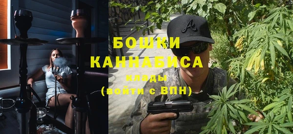 шишки Абинск