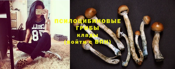шишки Абинск