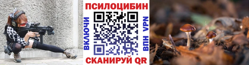 Галлюциногенные грибы Psilocybine cubensis  дарнет шоп  Братск 