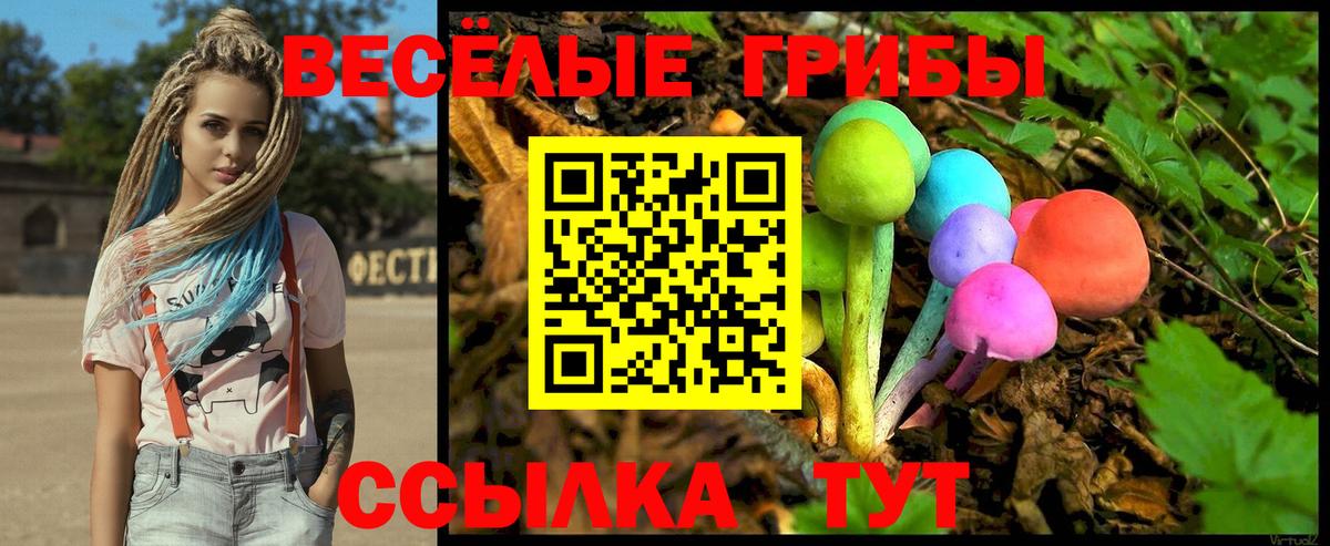 купить закладку  Псилоцибиновые грибы прущие грибы  Вход с VPN  Братск 